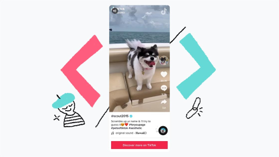 embed player animation｜TikTok Search